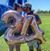 Hannah Sonnier's profile image