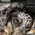 Larry Pfeil's profile image