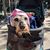 Tracey Renzi's profile image
