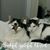 Lilian Leung's profile image