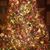 Sue Meier Widney's profile image