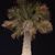Nancy Cuminale's profile image