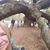 Mary Chris Garner's profile image