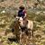 Karen Woodward Kleveno's profile image