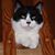 Kelley Alexander's profile image