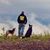 Andrew Cornelius's profile image