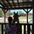 Sharon Tedford's profile image