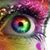 Bonnie Lee Bergeron's profile image