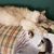 ScottDenise Alford's profile image