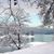 Roxanne Marie Pleiman's profile image