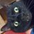 Jennifer McCollum's profile image