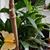 Sherrie Abbott's profile image