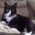 Debbie Spohn's profile image
