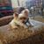 Cynthia Taylor's profile image