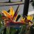 Theresa Tracy Gilbert's profile image