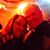 Kim Santilli's profile image