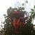 William Perkins's profile image