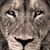 Amanda Gail's profile image