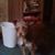 Bonnie Lippard Musgrove's profile image