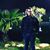 Mazen Zayan's profile image