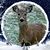 Debbi Mavity's profile image
