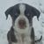 Martha Lewis's profile image