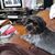 Eileen Gray's profile image