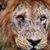 Julio Sixtos's profile image