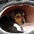 Janeen Stokan Robinson's profile image