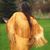 Mary C. Porter's profile image