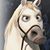 Anthony Hogan's profile image