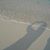 Janice Volpe's profile image