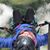 Marcia Baker Van Alstine's profile image