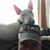 Joe Martineau's profile image