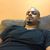 Ephrem Maleku's profile image