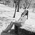 Andrea Sprague's profile image