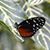 Tracy Hoorn's profile image