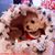 Asma Ahmadi's profile image