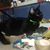 Guillermina Godoy's profile image