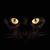 Boyles Brian's profile image