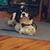 Jules Macy Rumble's profile image