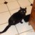 Jane Grossbeck's profile image