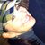 Steph Gervais Smithwick Nelson's profile image