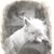 Bob Baerenwald's profile image