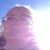 Darlene Rose Brotzman's profile image