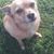 Sarah Wimberly's profile image