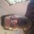 Bubba Newland's profile image