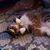 Jackie Vanweelden's profile image