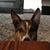 Karen Davis-Rose Swager's profile image