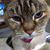 Williams Tracey's profile image